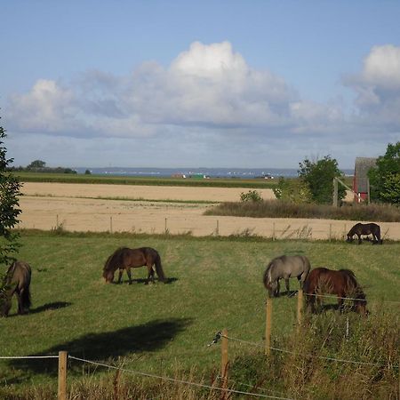 Penzion Laegenhet Lillisgarden Vallåkra Exteriér fotografie