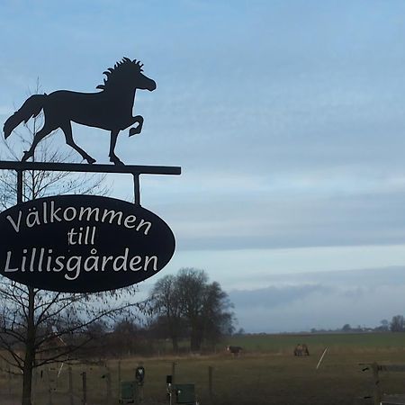 Penzion Laegenhet Lillisgarden Vallåkra Exteriér fotografie