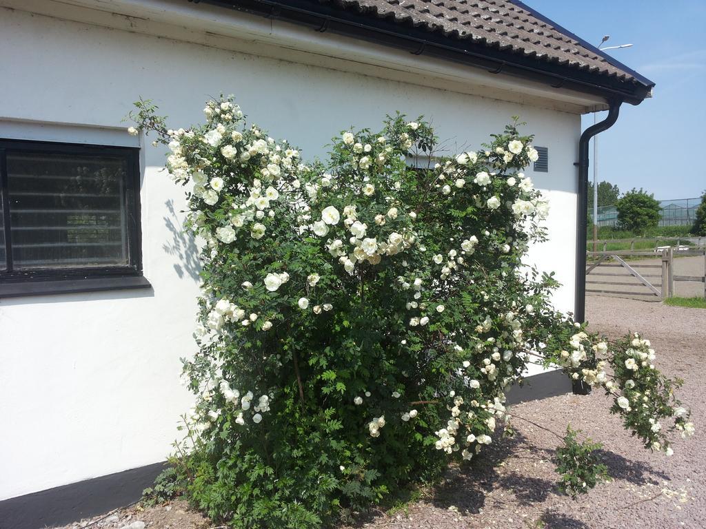 Penzion Laegenhet Lillisgarden Vallåkra Exteriér fotografie