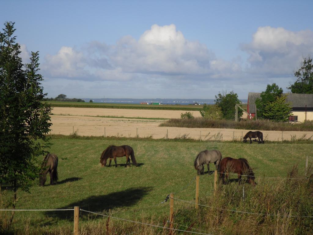 Penzion Laegenhet Lillisgarden Vallåkra Exteriér fotografie